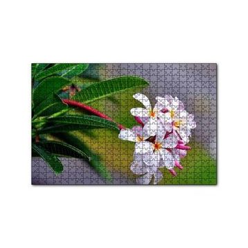 Cakapuzzle Beyaz Sarı Plumeria Çiçeği Görseli 120 Parça Ahşap Puzzle
