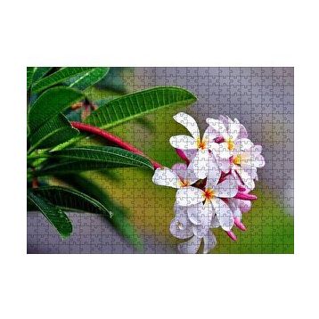 Cakapuzzle Beyaz Sarı Plumeria Çiçeği Görseli 120 Parça Ahşap Puzzle
