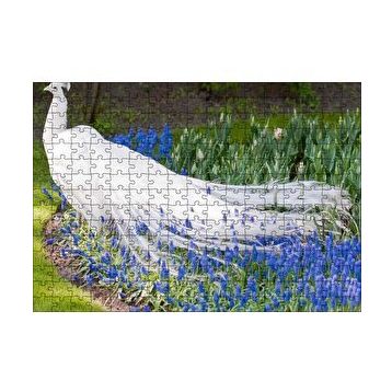 Cakapuzzle Beyaz Tavus Kuşu Görseli 120 Parça Ahşap Puzzle