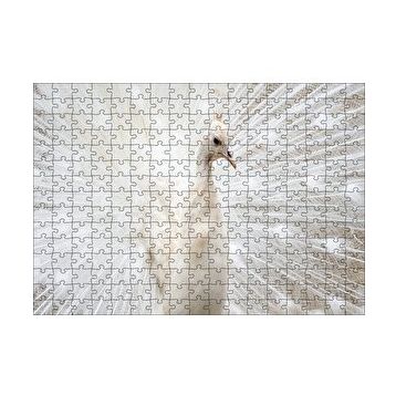 Cakapuzzle Beyaz Tavus Kuşu Görseli 120 Parça Ahşap Puzzle