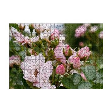 Cakapuzzle Beyaz ve Pembe Gonca Güller ve Yapraklar 120 Parça Ahşap Puzzle