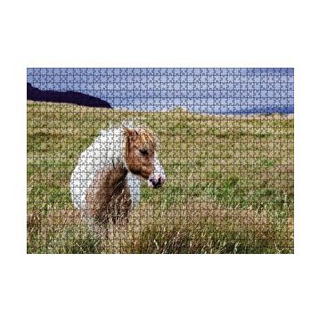 Cakapuzzle Beyaz Yeleli Midilli 120 Parça Ahşap Puzzle