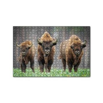 Cakapuzzle Bieszczady Bizonu Görseli 120 Parça Ahşap Puzzle