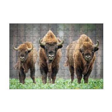 Cakapuzzle Bieszczady Bizonu Görseli 120 Parça Ahşap Puzzle