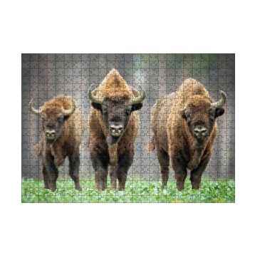 Cakapuzzle Bieszczady Bizonu Görseli 120 Parça Ahşap Puzzle