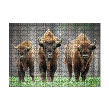 Cakapuzzle Bieszczady Bizonu Görseli 120 Parça Ahşap Puzzle