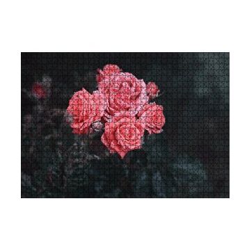 Cakapuzzle Bir Arada Pembe Güller 120 Parça Ahşap Puzzle