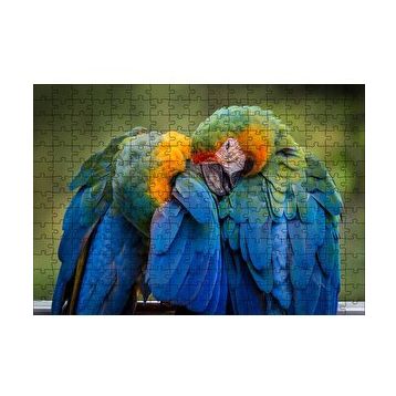 Cakapuzzle Bir Çift Mavi Macaw Papağanı 120 Parça Ahşap Puzzle
