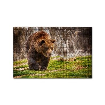 Cakapuzzle Boz Ayı Ormanda 120 Parça Ahşap Puzzle