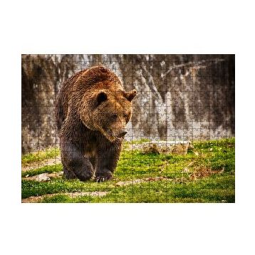 Cakapuzzle Boz Ayı Ormanda 120 Parça Ahşap Puzzle
