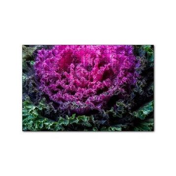 Cakapuzzle Brassica Oleracea Yaprakları 120 Parça Ahşap Puzzle