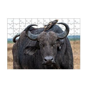 Cakapuzzle Buffalo ve Sırtındaki Kuş Arkadaşları 120 Parça Ahşap Puzzle
