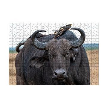 Cakapuzzle Buffalo ve Sırtındaki Kuş Arkadaşları 120 Parça Ahşap Puzzle