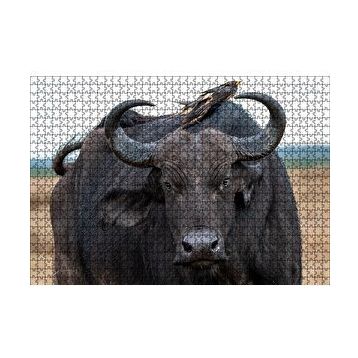 Cakapuzzle Buffalo ve Sırtındaki Kuş Arkadaşları 120 Parça Ahşap Puzzle