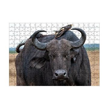 Cakapuzzle Buffalo ve Sırtındaki Kuş Arkadaşları 120 Parça Ahşap Puzzle