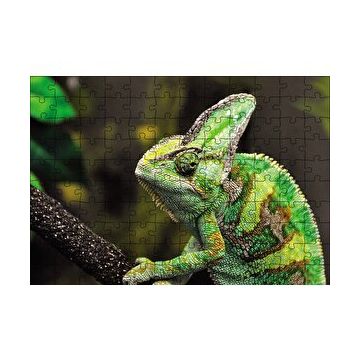 Cakapuzzle Bukelemun Yeşil 120 Parça Ahşap Puzzle