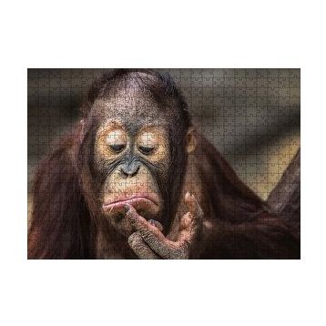 Cakapuzzle Burnuna Bakan Sevimli Şempanze 120 Parça Ahşap Puzzle