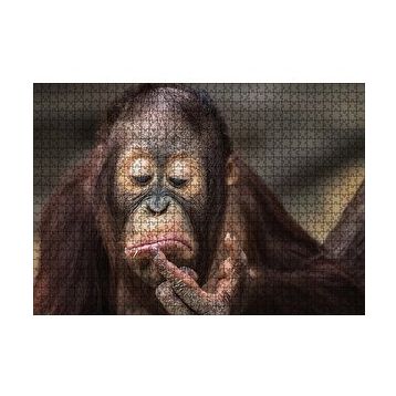 Cakapuzzle Burnuna Bakan Sevimli Şempanze 120 Parça Ahşap Puzzle
