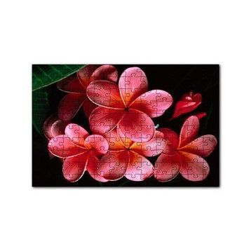 Cakapuzzle Büyük Kırmızı Yapraklı Plumeria Çiçeği 120 Parça Ahşap Puzzle