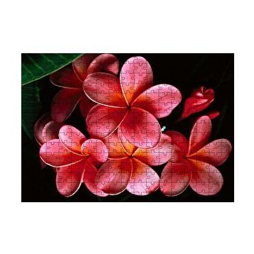 Cakapuzzle Büyük Kırmızı Yapraklı Plumeria Çiçeği 120 Parça Ahşap Puzzle