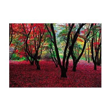 Cakapuzzle Büyülü Sonbahar Ormanı 120 Parça Ahşap Puzzle