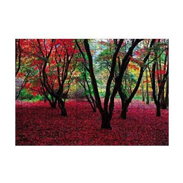 Cakapuzzle Büyülü Sonbahar Ormanı 120 Parça Ahşap Puzzle
