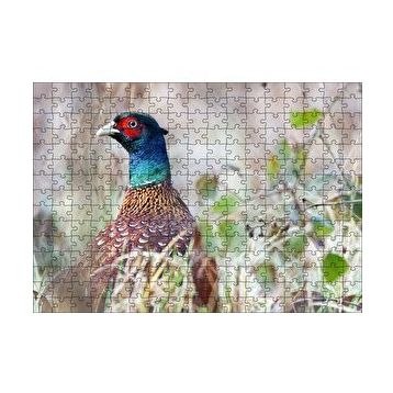 Cakapuzzle Çalılıklar Arasındaki Sülün 120 Parça Ahşap Puzzle