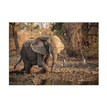 Cakapuzzle Çamur Banyosu Yapan Fil ve Arkada Leylekler 120 Parça Ahşap Puzzle