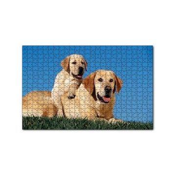 Cakapuzzle Çayırda Anne Labrador ve Yavrusu 120 Parça Ahşap Puzzle