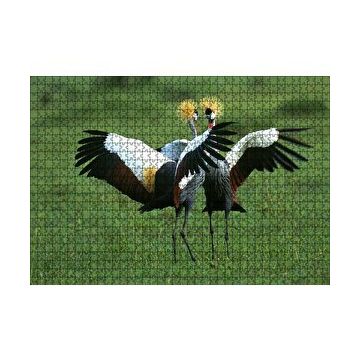 Cakapuzzle Çayırda Dans Eden Turnalar 120 Parça Ahşap Puzzle