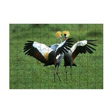 Cakapuzzle Çayırda Dans Eden Turnalar 120 Parça Ahşap Puzzle