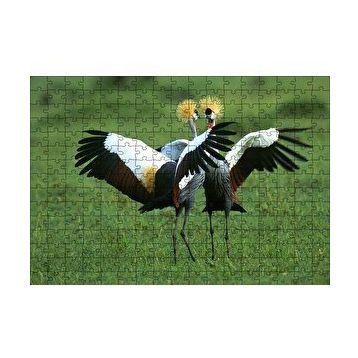 Cakapuzzle Çayırda Dans Eden Turnalar 120 Parça Ahşap Puzzle
