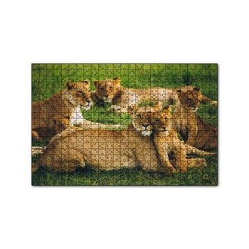 Cakapuzzle Çayırda Dişi Aslanlar ve Yavruları 120 Parça Ahşap Puzzle