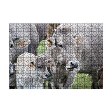 Cakapuzzle Çayırda Gri İnekler ve Sevimli Buzağı 120 Parça Ahşap Puzzle