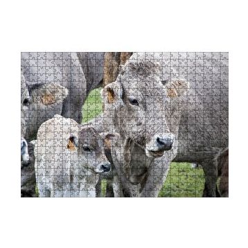 Cakapuzzle Çayırda Gri İnekler ve Sevimli Buzağı 120 Parça Ahşap Puzzle