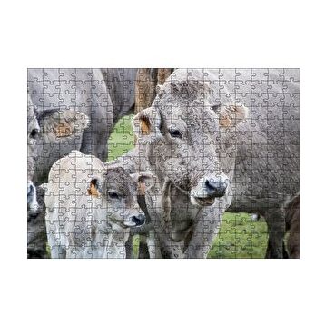 Cakapuzzle Çayırda Gri İnekler ve Sevimli Buzağı 120 Parça Ahşap Puzzle