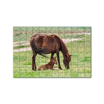 Cakapuzzle Çayırda Kahverengi Anne At ve Sevimli Tayı 120 Parça Ahşap Puzzle