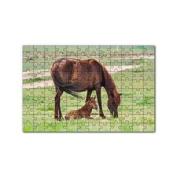 Cakapuzzle Çayırda Kahverengi Anne At ve Sevimli Tayı 120 Parça Ahşap Puzzle