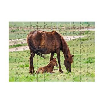 Cakapuzzle Çayırda Kahverengi Anne At ve Sevimli Tayı 120 Parça Ahşap Puzzle