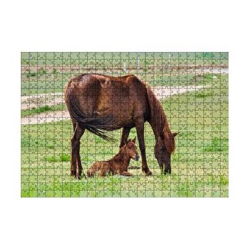 Cakapuzzle Çayırda Kahverengi Anne At ve Sevimli Tayı 120 Parça Ahşap Puzzle