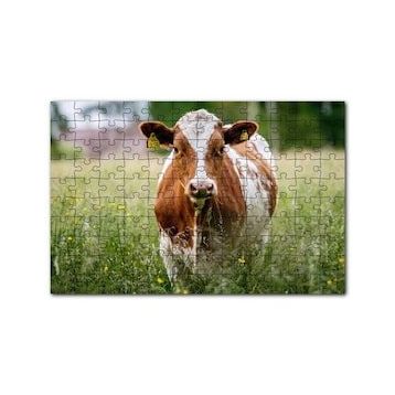 Cakapuzzle Çayırda Kahverengi Beyaz İnek 120 Parça Ahşap Puzzle