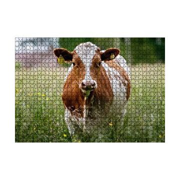 Cakapuzzle Çayırda Kahverengi Beyaz İnek 120 Parça Ahşap Puzzle