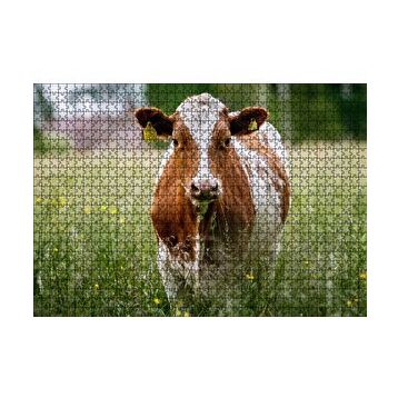 Cakapuzzle Çayırda Kahverengi Beyaz İnek 120 Parça Ahşap Puzzle