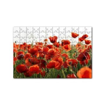 Cakapuzzle Çayırda Kırmızı Gelincikler 120 Parça Ahşap Puzzle