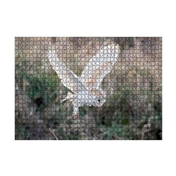 Cakapuzzle Çayırda Konmaya Hazırlanan Beyaz Baykuş 120 Parça Ahşap Puzzle