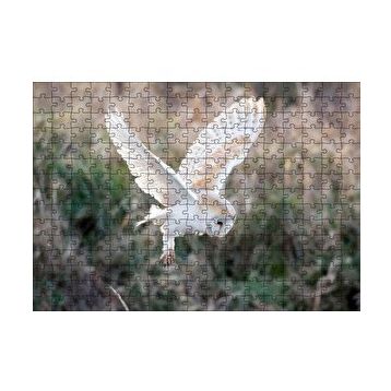 Cakapuzzle Çayırda Konmaya Hazırlanan Beyaz Baykuş 120 Parça Ahşap Puzzle