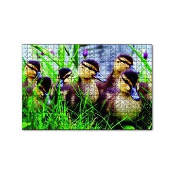 Cakapuzzle Çayırda Ördek Yavruları 120 Parça Ahşap Puzzle