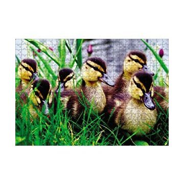Cakapuzzle Çayırda Ördek Yavruları 120 Parça Ahşap Puzzle