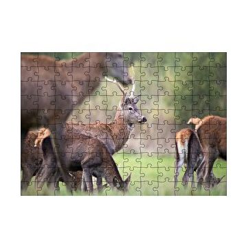 Cakapuzzle Çayırda Otlayan Geyikler 120 Parça Ahşap Puzzle