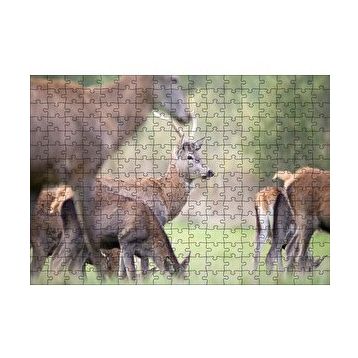 Cakapuzzle Çayırda Otlayan Ren Geyikleri 120 Parça Ahşap Puzzle